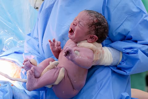 Ultrassom pré-natal realizado pela Dra. Amanda